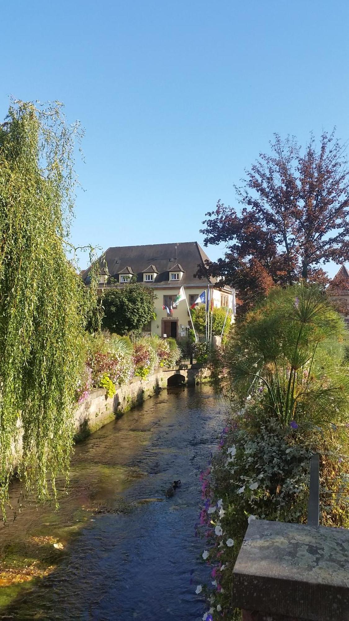 Meublés du 25 N3 Studio 1er Etage Niederbronn-les-Bains Exterior foto