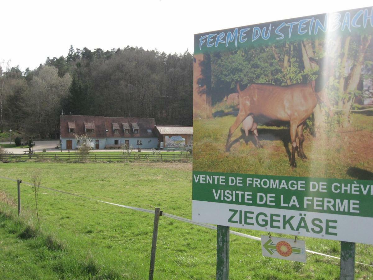 Meublés du 25 N3 Studio 1er Etage Niederbronn-les-Bains Exterior foto